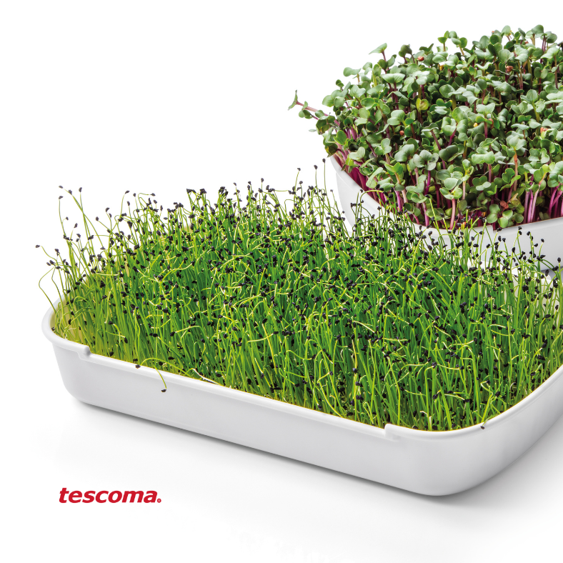 SENSE microgreens growing kit