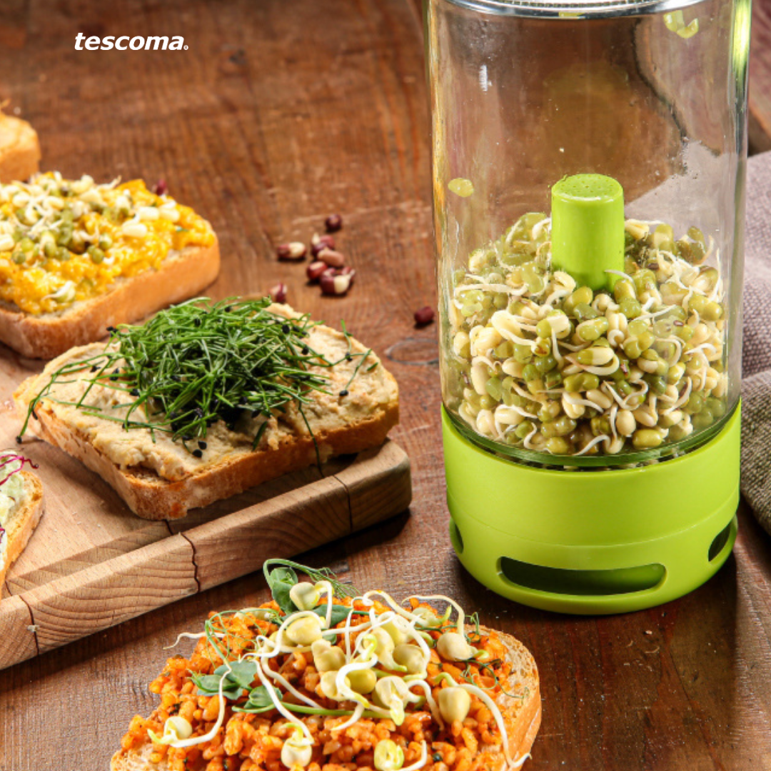 Glass sprouting container SENSE