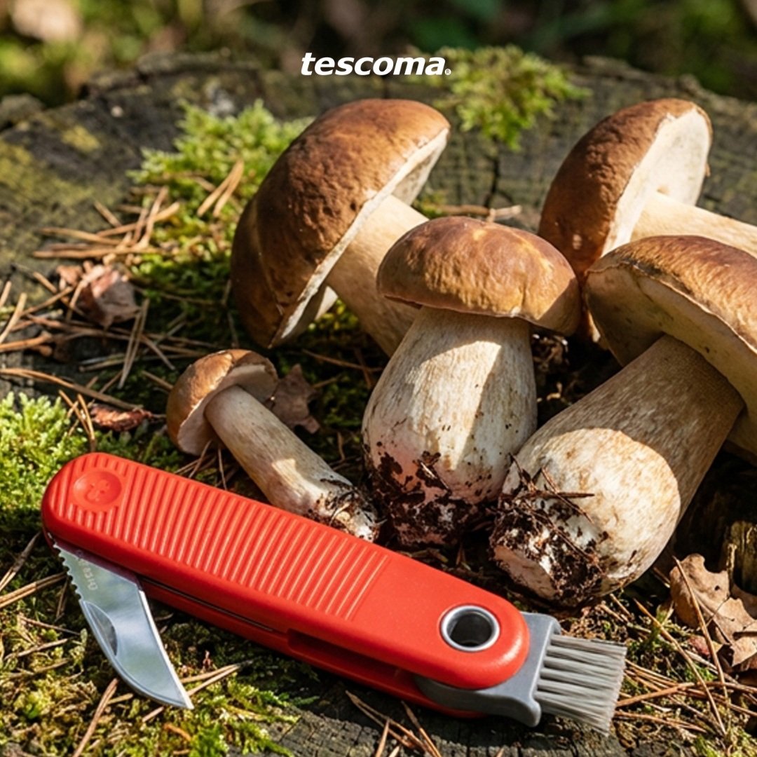 MOVE Mushroom Pocket Knife